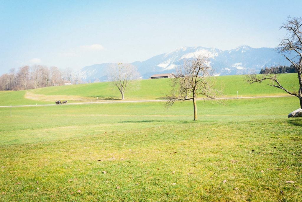 Landschaftsbild der Alpen.